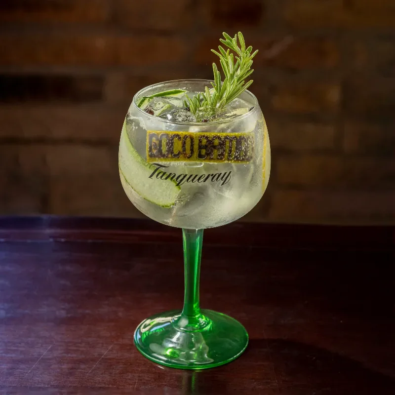 Gin Tônica Especial